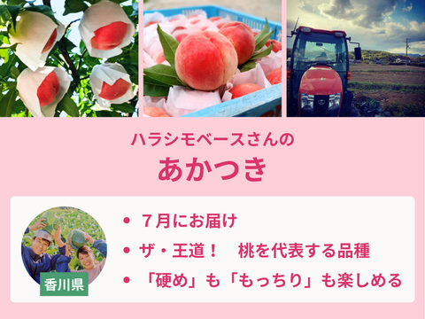 【限定200セット】桃食べ比べ便第３弾※送料込※（食べチョク公式）