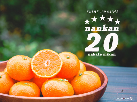 二大人気柑橘 食べ比べセット（コルマドンナ1kg／南柑20号4kg）Aセレクション（家庭用良品）5kg【柑橘食べ比べ】