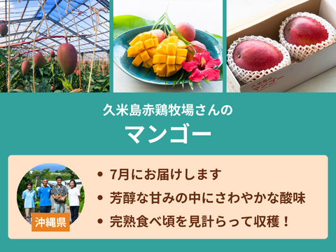 【食べチョク旬の食べ比べ便】マンゴー（アーウィン種）