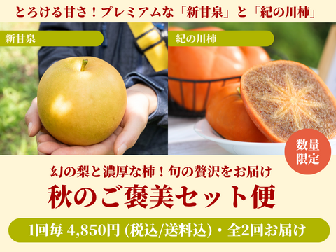 【売り切れ】 【限定100セット】秋のご褒美セット便（食べチョク公式）