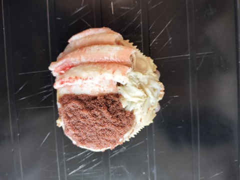 【12月末までの幻のカニ！】セコガニ甲羅盛り　4杯入り