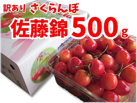 【 佐藤錦 】【 4月限定価格•お試し商品 】山形県天童産  500ｇ   【 肉厚果肉がジューシー 】【 大好評口コミ多数！！🍒 】訳あり【 朝どれ 】