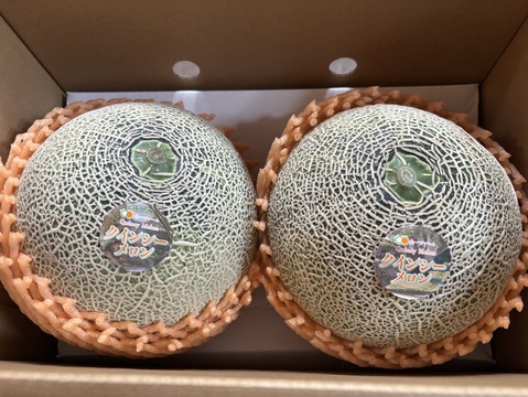 2024茨城メロン品評会グランプリ受賞👑クインシーメロン(5L特大2個入り)