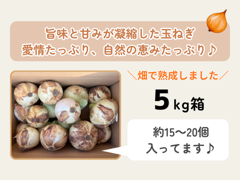 【玉ねぎの最高峰】淡路島 完熟玉ねぎ5kg 約15～20個入