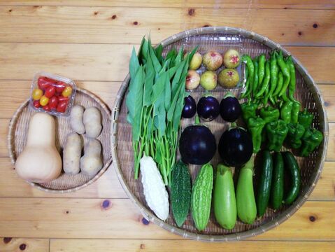 【農薬・化学肥料不使用】イチジク付き野菜セット【８種類以上の野菜】【金曜日クール便で発送】【あわせ買い可】【熨斗(のし)対応可】（８０サイズ箱）