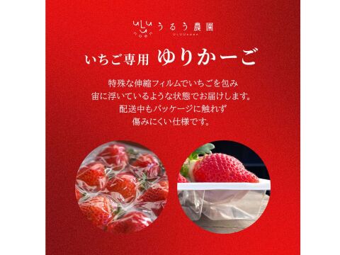 紅白極上あまおう400ｇ　～ベロアギフトボックス～【冬ギフト】