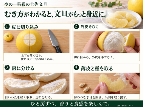 土佐文旦 ミニチュアミラクル7kg 家庭用｜希少な食べ切りサイズ｜約23
