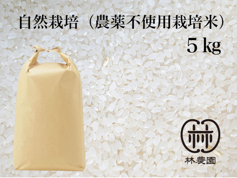 農薬不使用栽培・ヒノヒカリ白米5ｋｇ（令和5年10月収穫・未検査米）