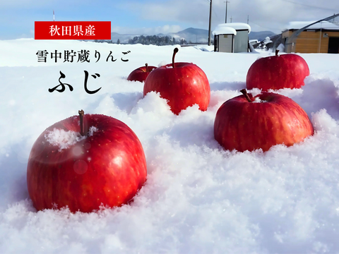 【貯蔵リンゴ】ふじ サンふじ  約8〜10玉 3キロ 希少 発送 りんご 雪室 秋田 雪 甘い 雪中貯蔵 長期保存りんご りんごの効能 Apple 母の日 ギフト フルーツ 家庭用