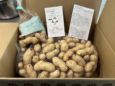 完売しました【農薬化学肥料栽培期間中不使用】🐞生落花生おおまさり＊1㎏＊2024年9月より限定販売