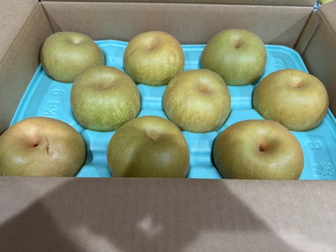 梨 幸水 良品5kg‼️長野県産：長野県産の幸水｜食べチョク｜産地直送
