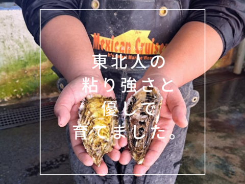 ＜完売御礼＞【希少】バージンオイスター🦪10個 三陸宮城女川産 殻付き 生牡蠣 生食用 BBQ キャンプ飯 お中元 夏ギフト のし対応