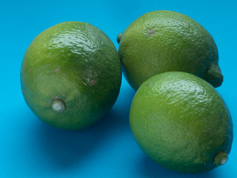 【広島県産】瀬戸田しまなみレモンAB混合品(5kg)  栽培期間中農薬不使用