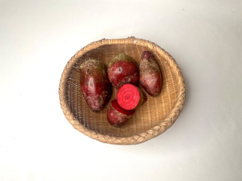 【数量限定】佐渡島からビーツ 1kg【農薬・化学肥料不使用】