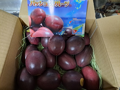 《皇室献上品産地のパッションフルーツご家庭用》奄美大島瀬戸内町産 1.2kg／希少な南国フルーツ