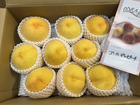昨年大好評‼️【まるでマンゴー!?】ゴールデンピーチ!!３kg