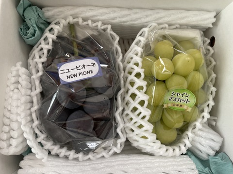 完熟シャインマスカット&ニューピオーネ