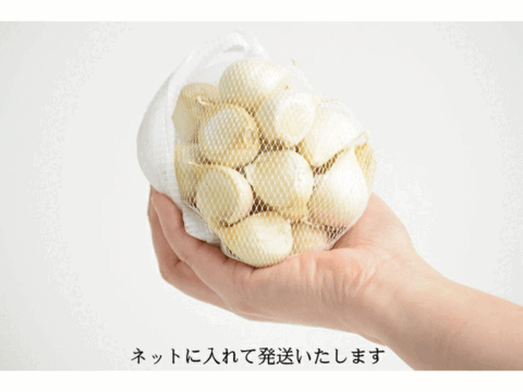 栄養満点！風味抜群！青森県産「津軽にんにく」 バラ 250g