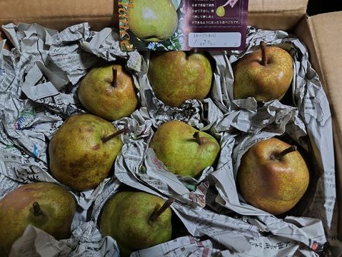 甘さと香り爽やかな★とろける　♦ラ・フランス♦　ご家庭用　約５ｋｇ（１２～２５玉）