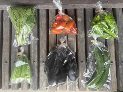 【有機JAS】旬の野菜セット 5-6品目（80サイズ）