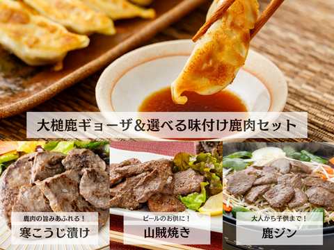 【冬ギフト】鹿餃子＆選べる味付鹿肉セット/指定日配送可能