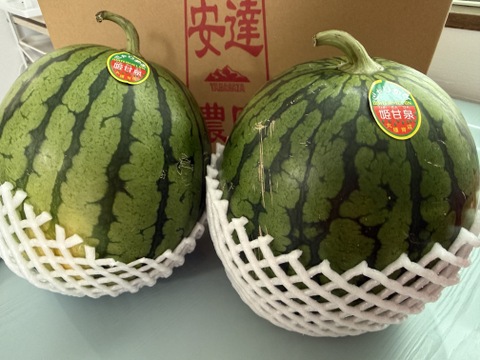 今年も始まりました👑大人気👑【産直で即完売❗️】2玉セット‼️果汁量も多くジューシー果肉はシャリシャリ😋🍉理想のスイカ🍉でも実はでかいんです！！
