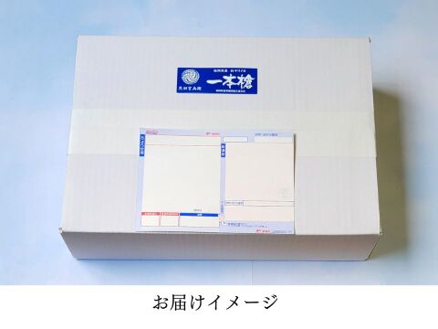 朝絞め!甘みと品があるヤリイカ 2kg 玄界灘 一本釣り