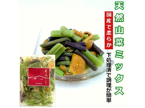 国産天然 山菜ミックス水煮100g×3袋