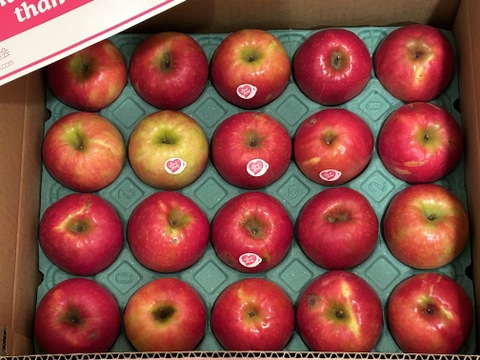 発送中🍎【ヒルナンデスでました！】ピンクレディー®︎ 5キロ訳あり品 加工用 長野県 信州 安曇野 リンゴ 幻 幻のリンゴ 予約 希少 旬 ID36611 ピンクレディー