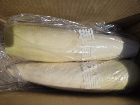 【同梱発送】自然栽培大根×ネギ