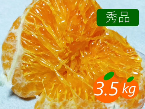 【秀品】甘平 3.5kg ギッシリ果肉のシャキシャキ食感♡愛媛限定高級柑橘♫愛媛みかん！！【冬ギフト】