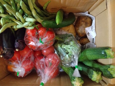 はねだしでお得!!自然栽培お任せ野菜セット