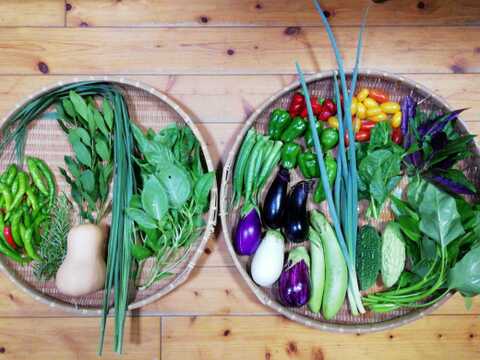 【農薬・化学肥料不使用】４種類以上のハーブ入り野菜セット【８種類以上の野菜】【金曜日発送】【あわせ買い可】【熨斗(のし)対応可】【８０サイズ箱】