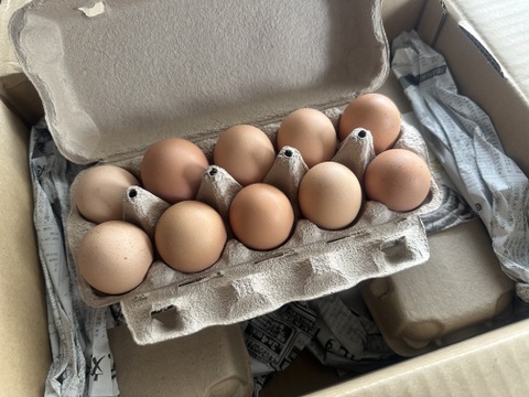平飼い卵80個12/9常温発送 akh001.jpg