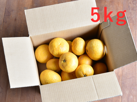 【5月中旬より発送予定】爽やかで夏らしい味わい　夏みかん【家庭用(訳あり)】5kg 318-3
