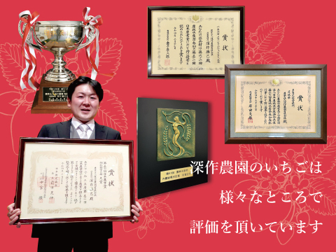 日本農業賞大賞受賞！6代100年続くいちご農家が作る、紅白いちご（苺・イチゴ）2パック【深作農園】ギフトにもピッタリ