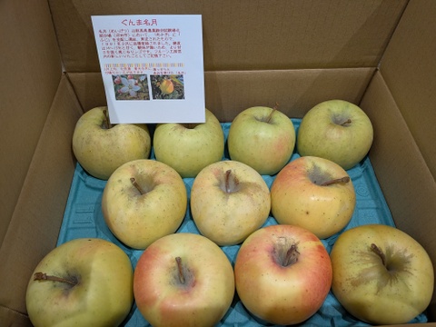 「ぐんま名月」大人気！！甘くてジューシー黄色い林檎　訳ありお徳用 　　 3キロコース（8から12玉）スマートフレッシュ鮮度保持貯蔵
