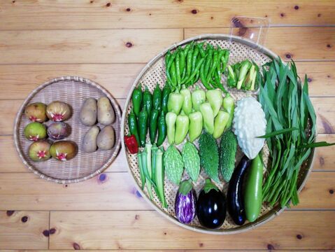 【農薬・化学肥料不使用】イチジク付き野菜セット【８種類以上の野菜】【金曜日クール便で発送】【あわせ買い可】【熨斗(のし)対応可】（８０サイズ箱）