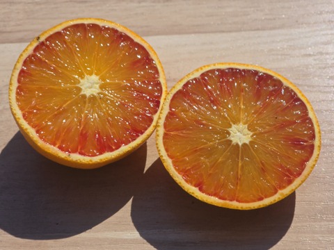 箱込約2㌔　ブラッドオレンジタロッコ　大きさ不ぞろい