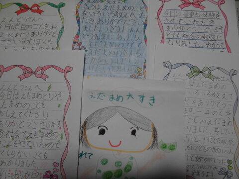 【初回限定BOX】今が旬❗17代目が作りだす葉っぱ付き枝豆１.３ｋｇ  【課外授業食べチョク編】