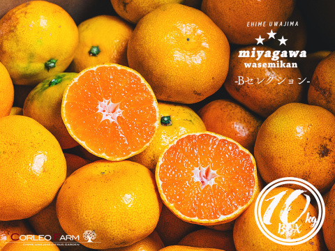 ■訳あり■傷あり不揃いの旨さ主義【EHIME UWAJIMA】とろける食感の絶品早生みかん！Bセレクション9.5kg