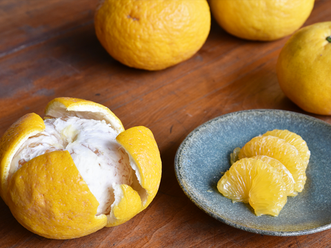 【5月中旬より発送予定】爽やかで夏らしい味わい　夏みかん【家庭用(訳あり)】5kg 318-3