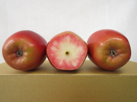 【超希少品種！栄紅（えいこう）】合格祈願りんご