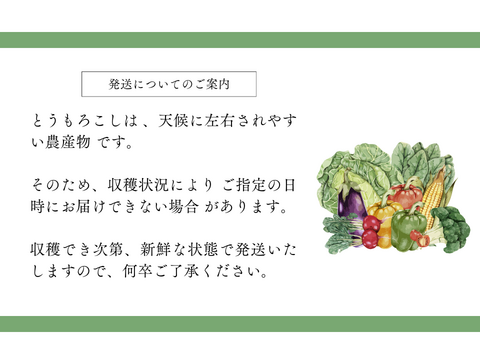 【2025年夏🌽予約受付中】
✨まさに“おおもの”級の甘さ✨
朝採れ直送｜黄色い超特大とうもろこし 4kgセット（約10〜12本）