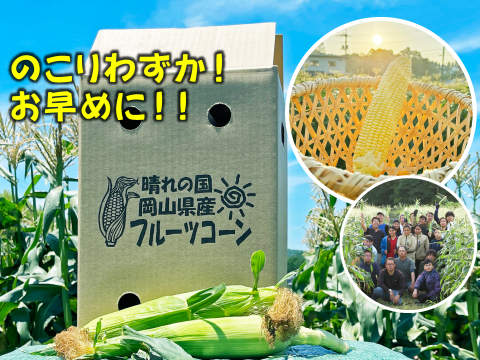 【収穫始まりました！順次発送中！】晴れの国岡山県産！太陽の恵みたっぷりでメロンより甘い！朝どれフルーツコーン10本+おまけ1本の11本セット【朝どれ】