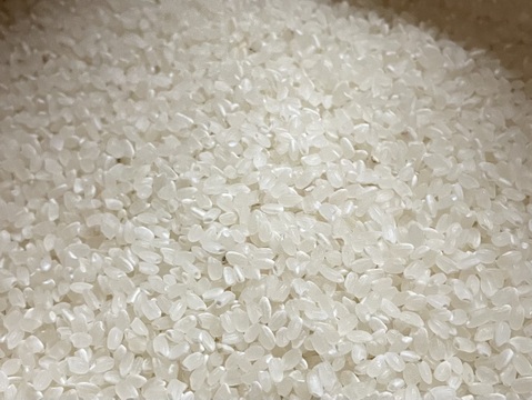 新米！化学肥料・農薬不使用のお米！「すっぴんのつやめき」コシヒカリ1.5kg