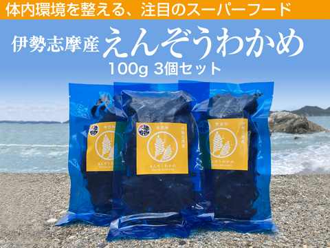 産地厳選！【産地直送】えんぞうわかめ100ｇ3パック　 伊勢志摩産　鳥羽市の離島・菅島沿岸で収穫！　人気のおみやげ