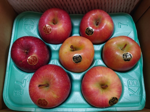 權之丞の葉取らずミックス！　🏆2025年りんごGP金賞受賞🎊葉取らず高徳&葉取らずサンふじ　家庭用2kg【5〜10個入り】