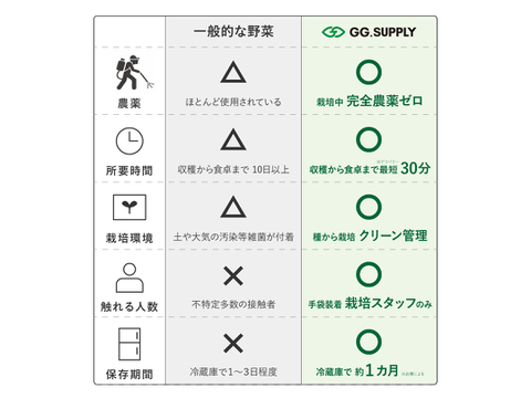 TV出演50本以上！一ヶ月日持ち 洗わない ドレッシング不要│５種常備野菜セット（Tastingサイズ）