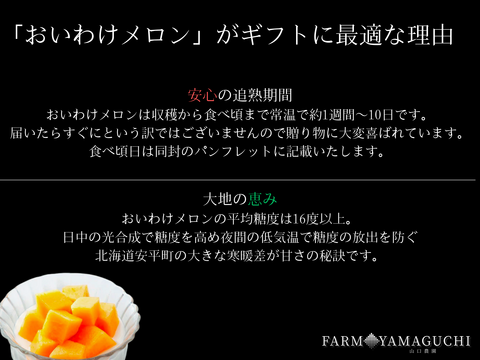 ギフトに大人気 【北海道メロン】 1玉入り　大玉